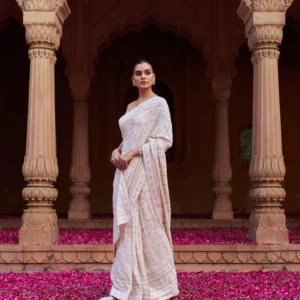 Premium Resham Chikankari Georgette Saree